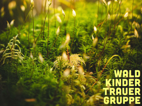 Logo_Waldkindertrauergruppe